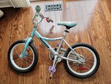 儿童（女孩）自行车 bike in great condition